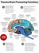 Image result for Brain Processing