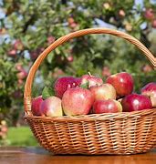 Image result for Apple Basket