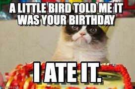 Image result for Grumpy Cat Happy Birthday Bird