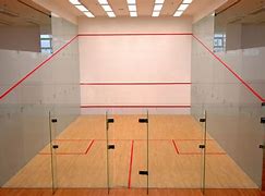 Image result for Squash Ball Court