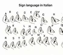 Image result for Italian Jokes AMD Memes