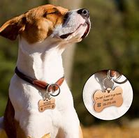 Image result for Clothing Dog Tags
