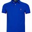 Image result for Blue Polo Shirts for Men