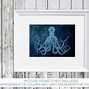 Image result for Vintage Octopus Illustration