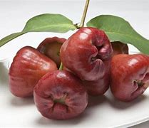 Image result for Indian Kind of Apple