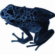 Image result for Blue Frog Clip Art