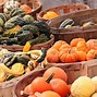 Image result for Green Winter Squash