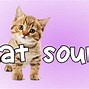 Image result for Touch Screen Games for Cats