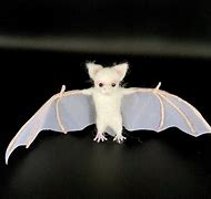 Image result for Felt Albino Bats