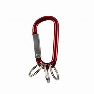 Image result for carabiners keychain rings