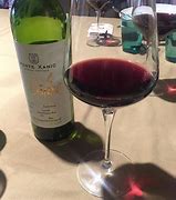 Image result for Burgundy Wine From Mexico
