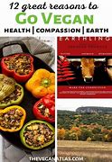 Image result for Go Vegetarian Save the Planet