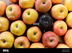 Image result for Good and Bad Apple