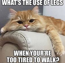 Image result for Tired to Walk Meme