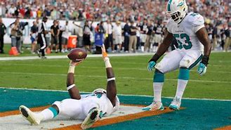 Image result for We May Never Lose Again Miami Dolphins