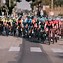 Image result for Trek Segafredo Cycling Team