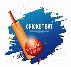 Image result for Word Art On a Cricket Bat