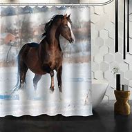 Image result for Horse Shower Curtain Hooks