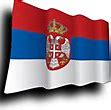 Image result for 1217 Serbia Flag