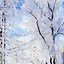 Image result for Snowflake iPhone Wallpaper