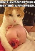 Image result for Funny Baby Cat Memes