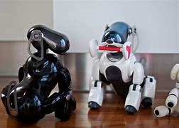 Image result for Aibo Robot Dog Classic
