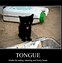 Image result for Cat Humor