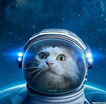 Image result for Little Space Memes Funny