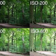 Image result for ISO Camera Setting