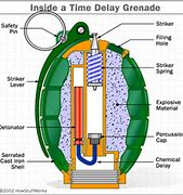 Image result for Grenade Anatomy