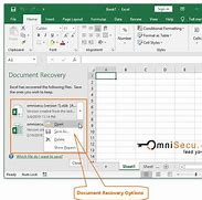 Image result for Excel Recover Previous File