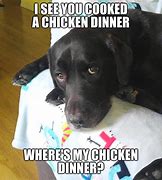 Image result for Hungry Dog Meme