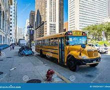 Image result for Chicago Timmy Teddy School Bus