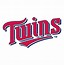 Image result for Minnesota Twins Logo Outline