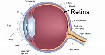 Image result for Is Screen Retina Chart