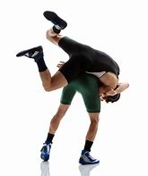 Image result for Pics of Wrestling Moves