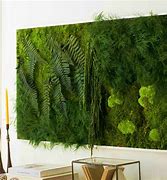 Image result for Moss Decor for House