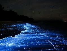 Image result for Blue Ocean at Night