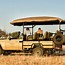 Image result for Safety Safari Cars