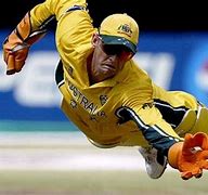 Image result for Cricket Wicket keeper