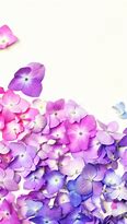 Image result for Cute Apple Watch Backgrounds Flower