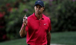 Image result for Tiger Woods Mugshot