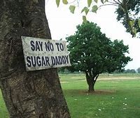 Image result for Sugar Daddy Vacation Meme