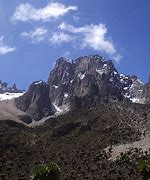 Image result for Mount Kenya Forest