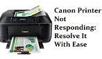 Image result for Canon Printer Not Responding