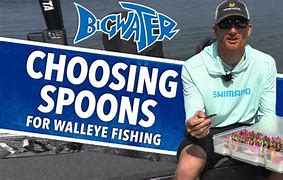 Image result for Fishing Spoon Size Chart