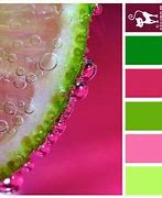 Image result for Pink Plus Green