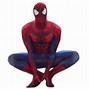 Image result for Spiderman Costume