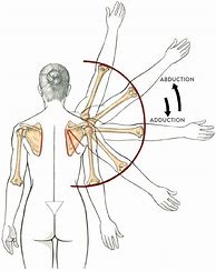 Image result for Invisable Joint. Figure
