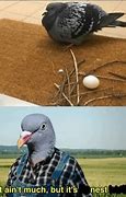 Image result for Dove Nest Meme